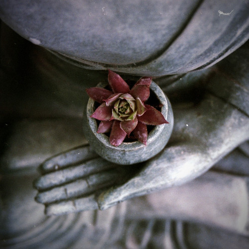 Turning Inwards