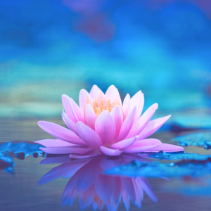 An Introduction to Meditation