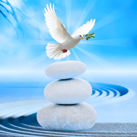 Collective Immersive Meditation
