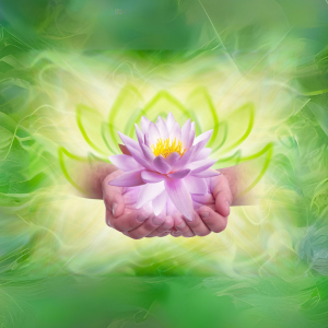 Meditation Retreat- Part 2